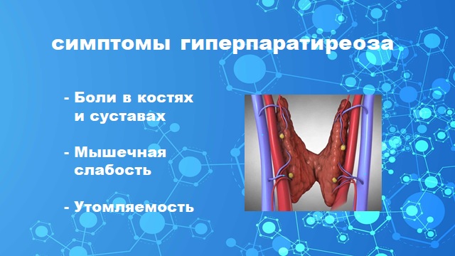 Основные причины остеопороза у женщин после 60 лет